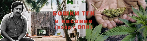 твердый Касимов